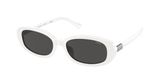 POLO PH4198U Sunglasses
