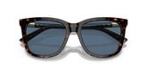 POLO PH4201U Sunglasses