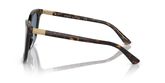 POLO PH4201U Sunglasses