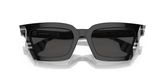 Burberry BE4392U BRIAR Sunglasses