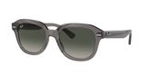Ray Ban RB4398 ERIK Sunglasses