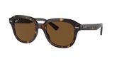 Ray Ban RB4398 ERIK Sunglasses
