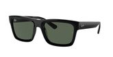Ray Ban RB4396 WARREN Sunglasses