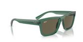 Ray Ban RB4396 WARREN Sunglasses