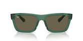 Ray Ban RB4396 WARREN Sunglasses