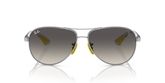 Ray Ban RB8331M Sunglasses