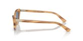 POLO PH4199U Sunglasses