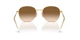 Ray Ban RB3809 Sunglasses