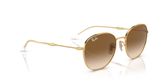 Ray Ban RB3809 Sunglasses