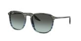 Ray Ban RB2203 Sunglasses
