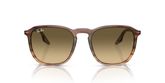 Ray Ban RB2203 Sunglasses