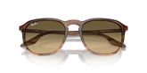 Ray Ban RB2203 Sunglasses