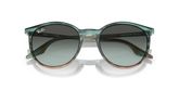 Ray Ban RB2204 Sunglasses