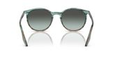 Ray Ban RB2204 Sunglasses