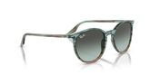Ray Ban RB2204 Sunglasses