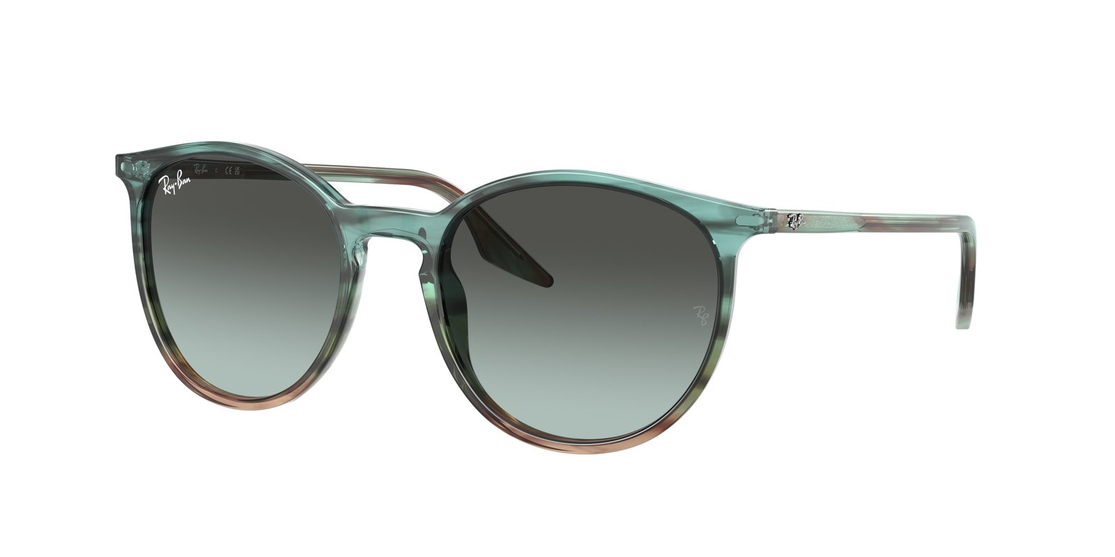 Ray Ban RB2204 Sunglasses