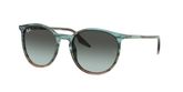 Ray Ban RB2204 Sunglasses