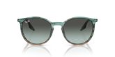 Ray Ban RB2204 Sunglasses