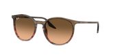Ray Ban RB2204 Sunglasses