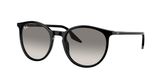 Ray Ban RB2204 Sunglasses