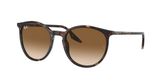 Ray Ban RB2204 Sunglasses