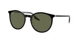 Ray Ban RB2204 Sunglasses