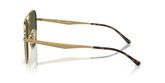 Ray Ban RB3724D Sunglasses