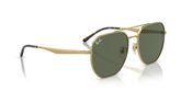 Ray Ban RB3724D Sunglasses