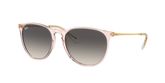Ray Ban RB4171 ERIKA Sunglasses