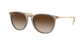Ray Ban RB4171 ERIKA Sunglasses