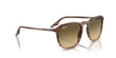 Ray Ban RB2203F Sunglasses