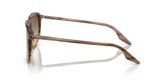 Ray Ban RB2203F Sunglasses