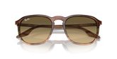 Ray Ban RB2203F Sunglasses