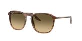 Ray Ban RB2203F Sunglasses