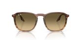 Ray Ban RB2203F Sunglasses