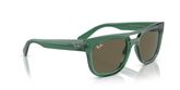 Ray Ban RB4426 PHIL Sunglasses