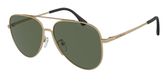 Emporio Armani EA2149D Sunglasses