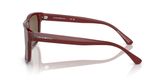 Emporio Armani EA4163 Sunglasses