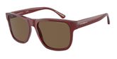 Emporio Armani EA4163 Sunglasses