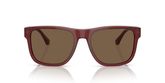 Emporio Armani EA4163 Sunglasses