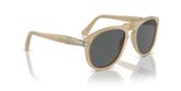 Persol PO0649 Sunglasses