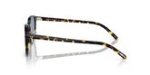Oliver Peoples OV5219SM FAIRMONT SUN-F Sunglasses