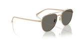 Oliver Peoples OV1335ST RIVETTI Sunglasses