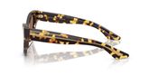 Oliver Peoples OV5573SU 1951C Sunglasses