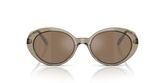 Oliver Peoples OV5565SU LUMAR Sunglasses