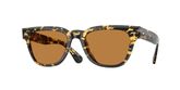 Oliver Peoples OV5601SU RUENY Sunglasses