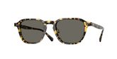 Oliver Peoples OV5598SU EMRYN Sunglasses