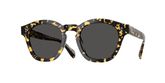 Oliver Peoples OV5382SU BOUDREAU L.A Sunglasses