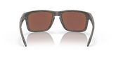 Oakley OO9102 HOLBROOK Sunglasses