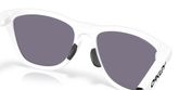 Oakley OO9289 FROGSKINS HYBRID Sunglasses